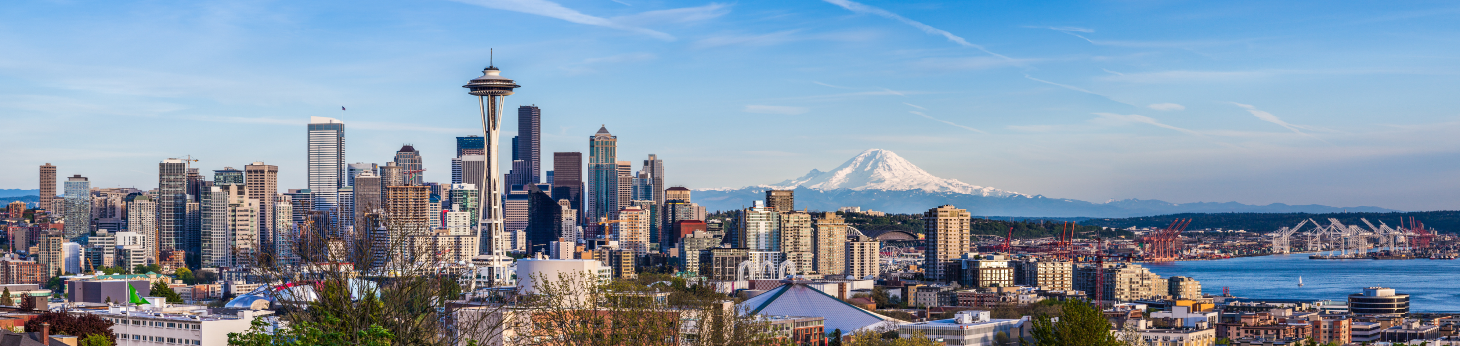 The Seattle skyline in closeup with a blurred background of the iconic Space Needle, modern high-rises, and Mount Rainier in the distance under a clear blue sky in Washington.