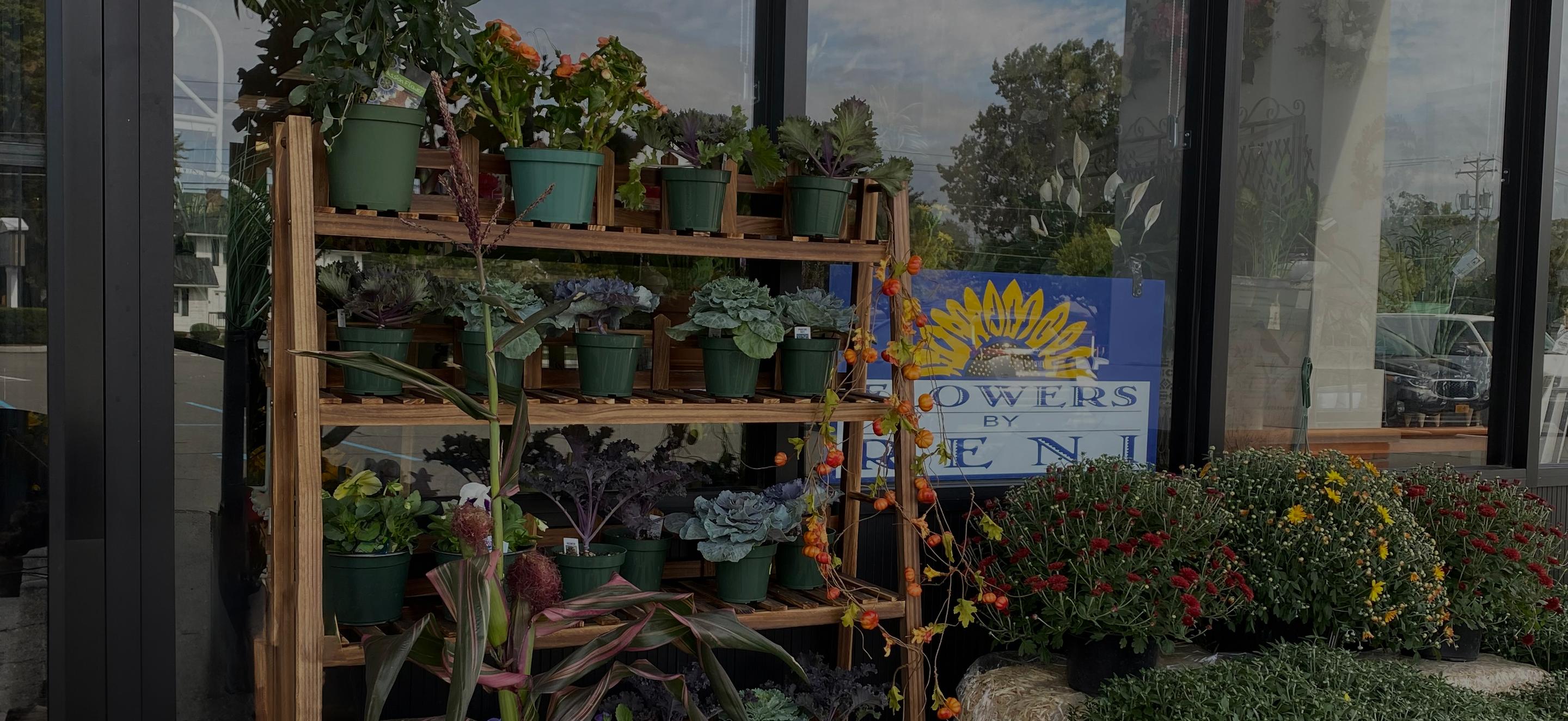 a display of potted plants outside of a flower shop