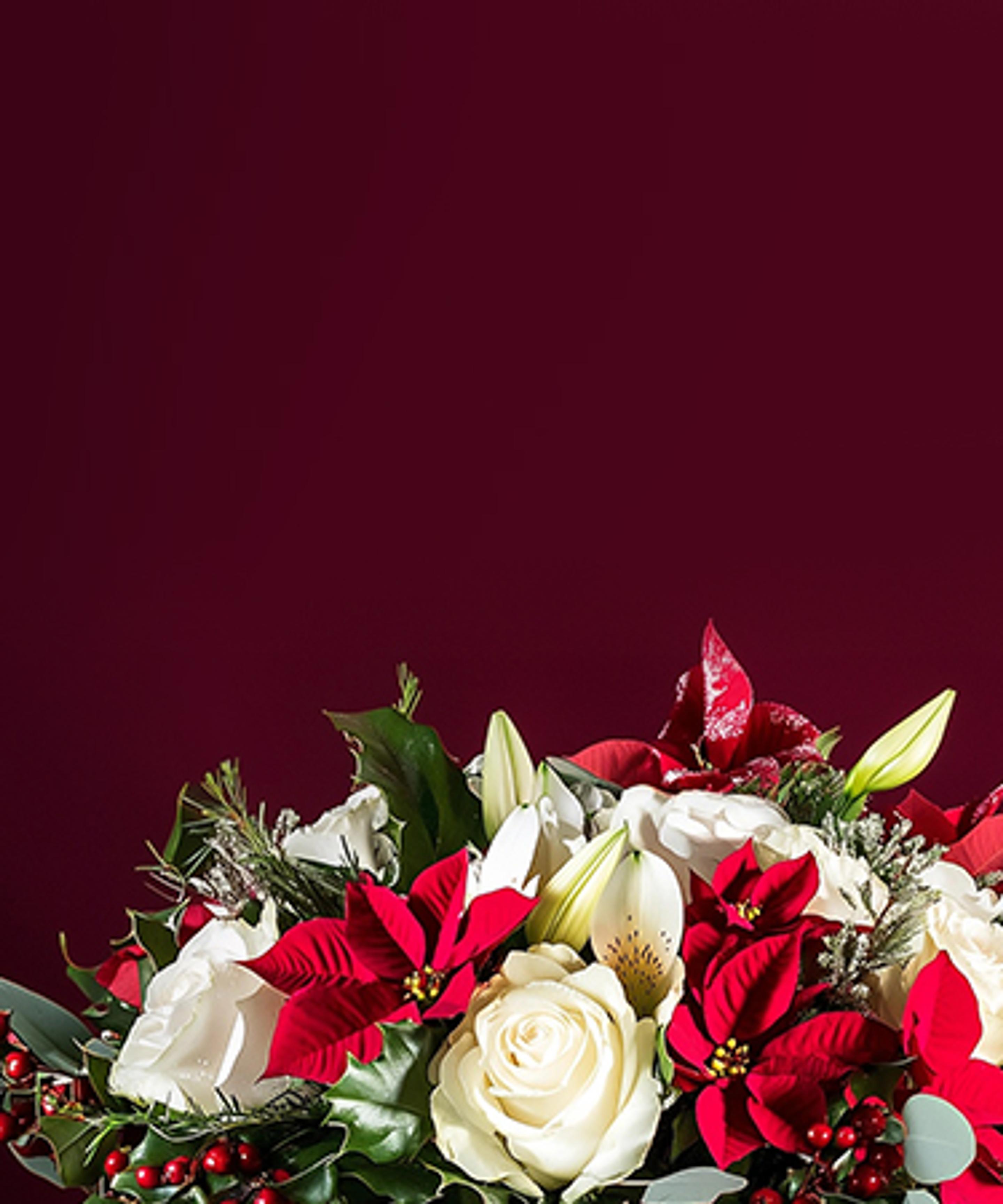 a bouquet of red and white flowers on a red background .