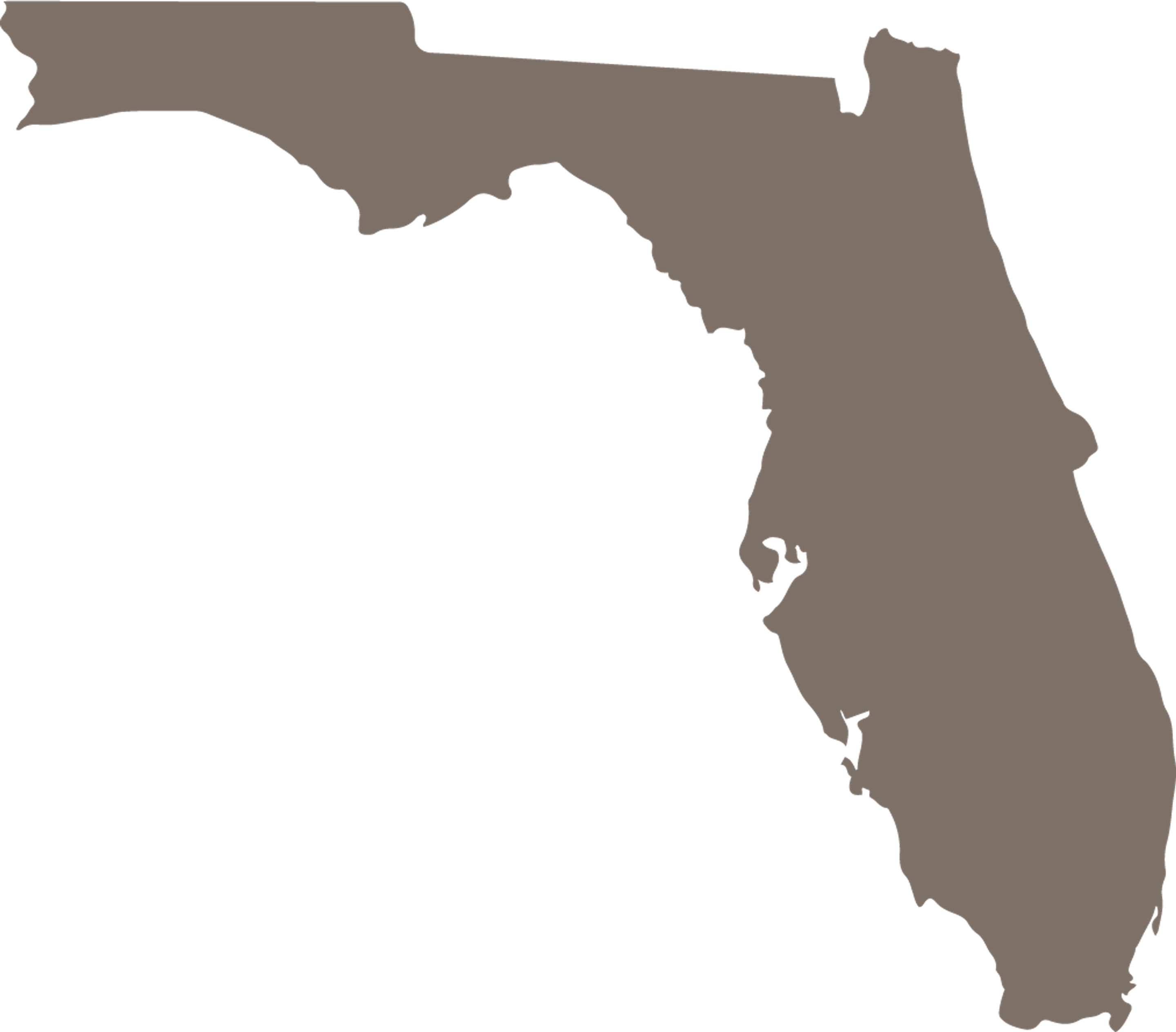 Florida State Map Icon