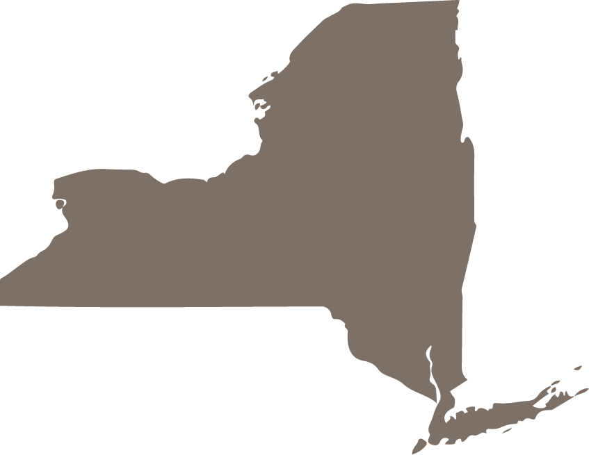 New York State Map Icon