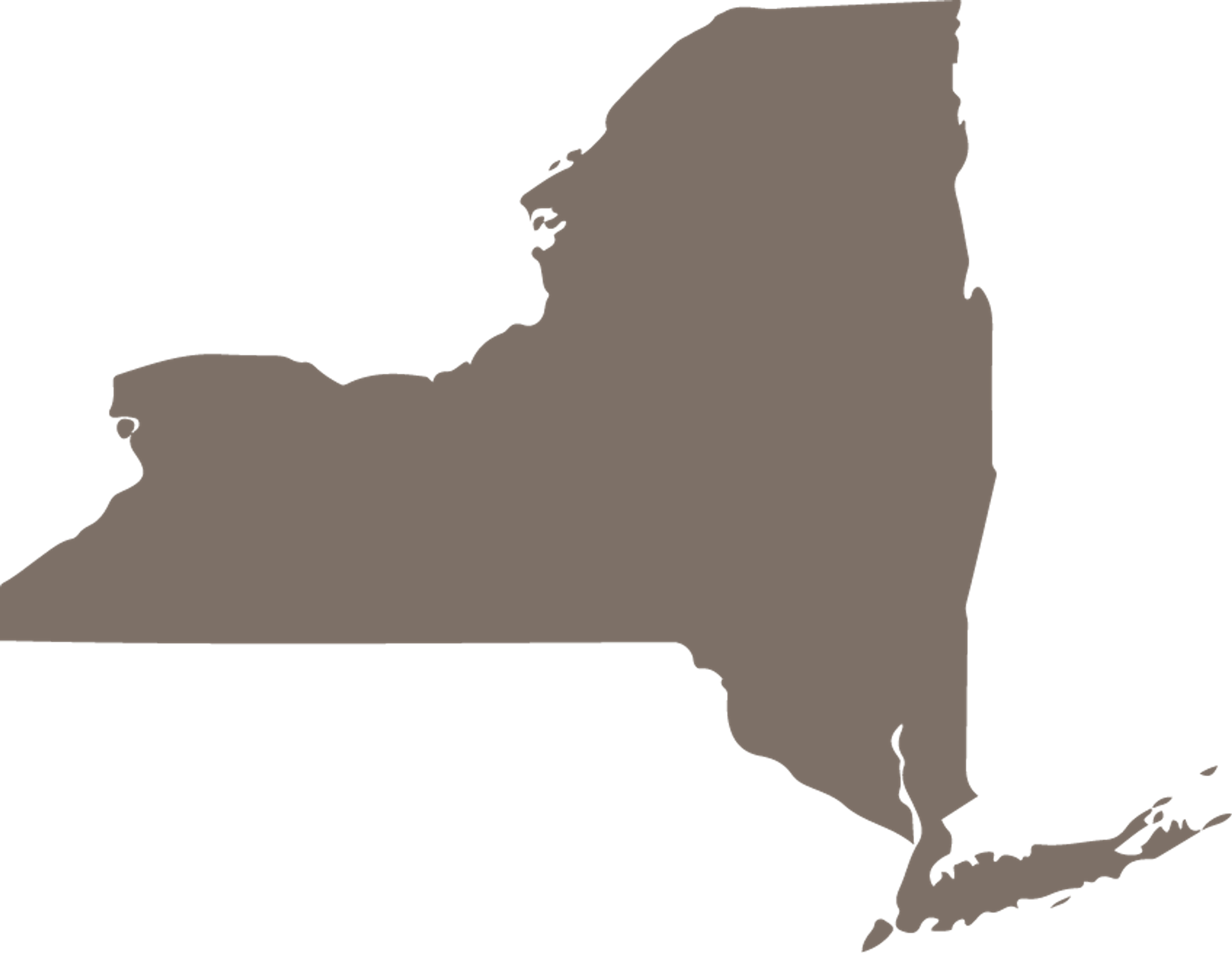 New York State Map Icon