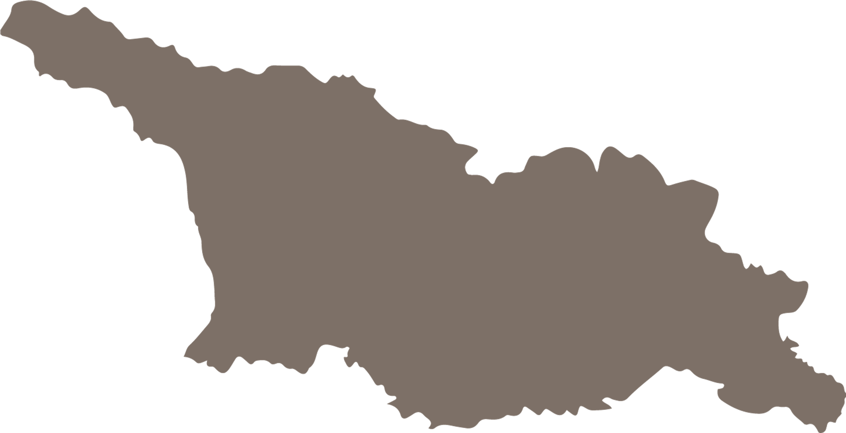 Georgia State Map Icon
