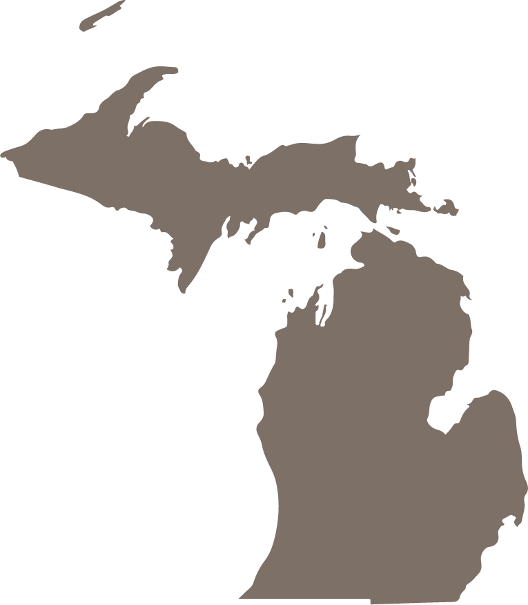 Michigan State Map Icon