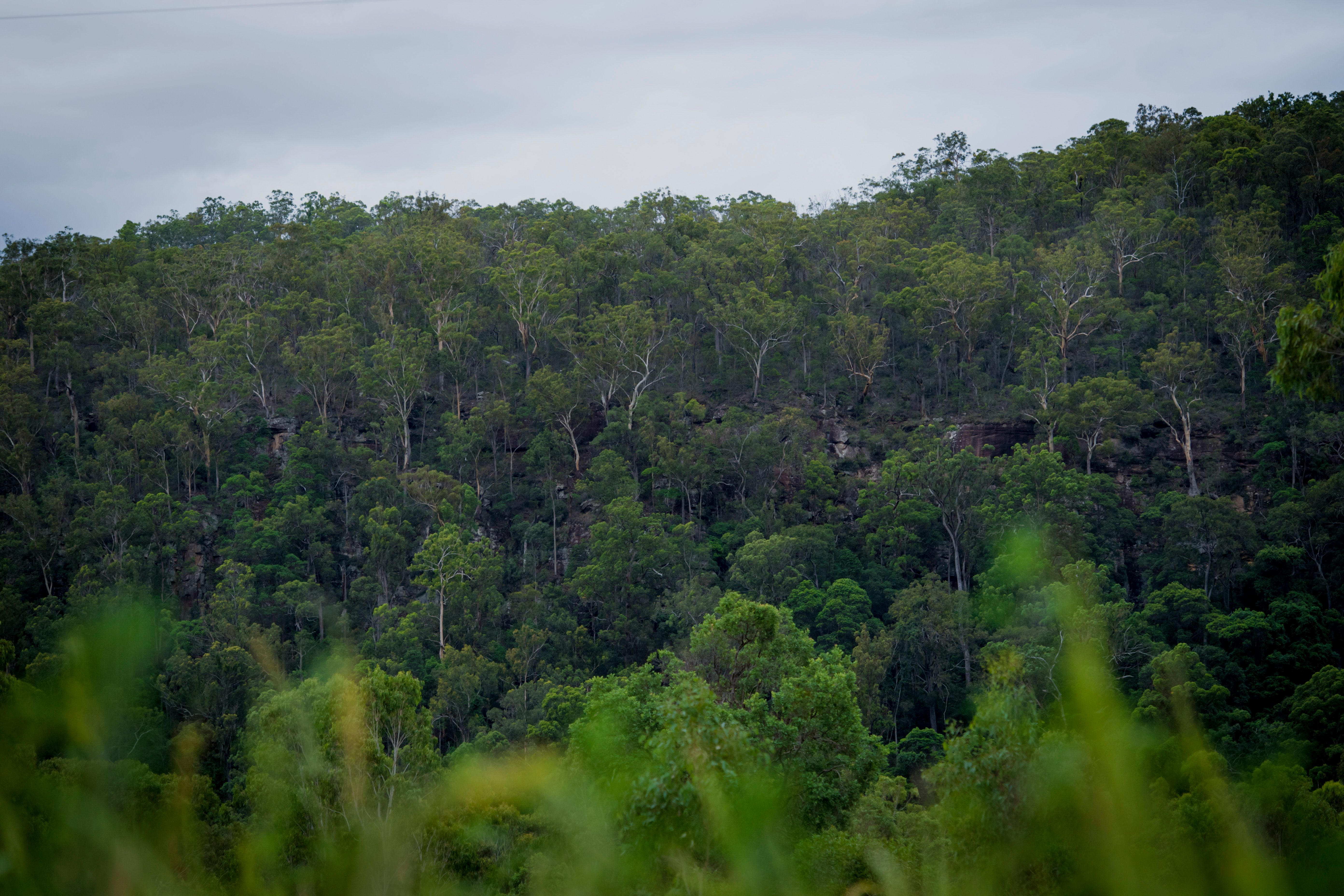 Handing Over Stewardship of Mongo Valley Sanctuary - Aussie Ark