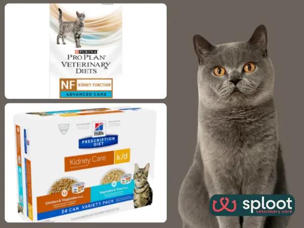 A simple infographic showing examples of low-phosphorus cat food or kidney cat food from Purina Pro Plan and Hill’s Prescription Diet