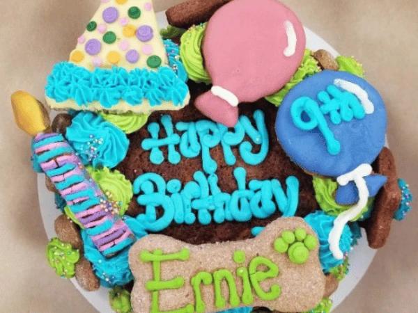 A dog cake from Cosmo’s Dog Bakery, a pet store in Denver and dog treat bakery