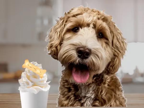 A dog next to a pup cup or puppuccino