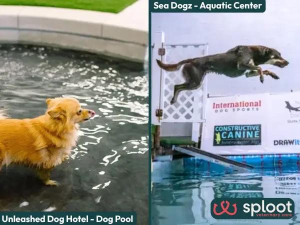 A collage showing dog swimming pools in Unleashed Dog Hotel and Sea Dogz, dog swimming pools in Salt Lake City, Utah, and nearby.