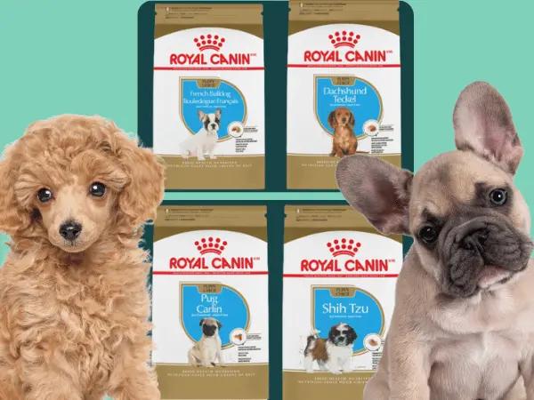 Examples of the best dog food for puppies small breed and best large breed puppy food by Royal Canin for pure breed puppies