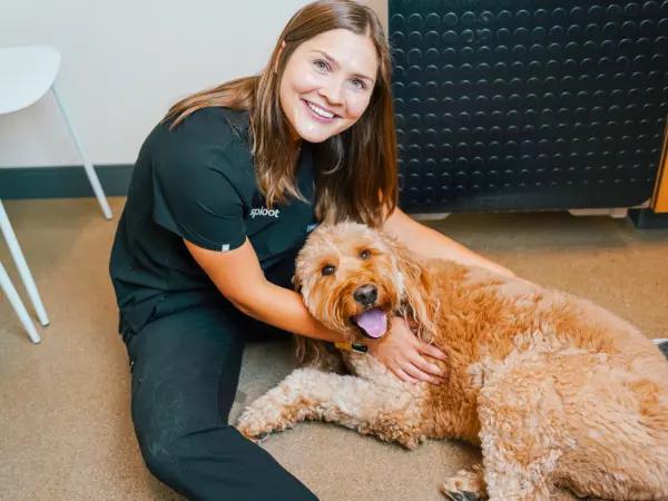 A dog brought to Sploot Vets, a vet clinic in Denver, Colorado Springs, and Chicago, to consider the canine influenza vaccine for future prevention