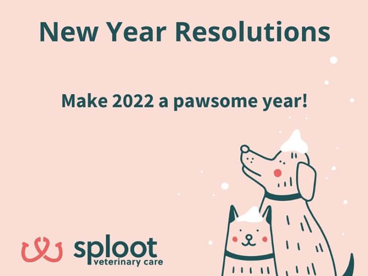 A graphic that reads: Make 2022 a Pawsome Year