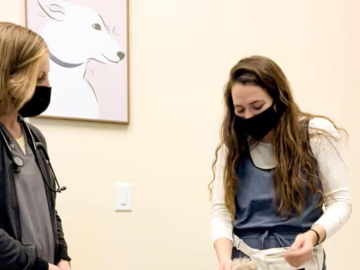 A vet having a consultation with a pet parent at the Sploot Veterinary Clinic in Denver, Colorado