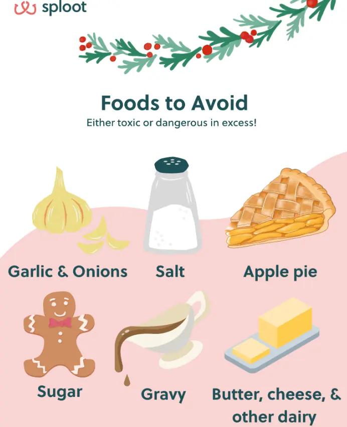 Graphic showing foods to avoid on holiday for dogs and cats.