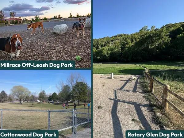 A collage showing photos of Rotary Glen Dog Park, Cottonwood Dog Park, and Millrace Dog Park, some of the best off-leash dog parks in Salt Lake City