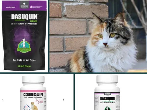 A collage showing an older cat and cat joint supplements, including Cosequin Sprinkle Capsules, Dasuquin Soft Chews, and Dasuquin Advanced