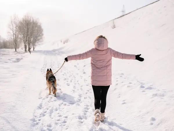 A pet parent and dog hiking along a dog friendly trail or dog friendly hike