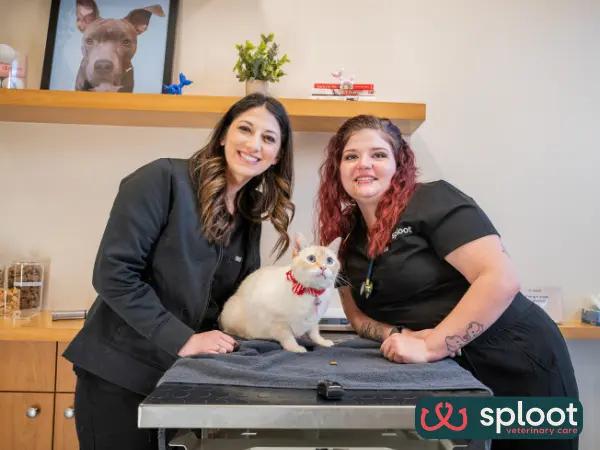 The friendly cat veterinarians at Sploot Veterinary Care, one of the best cat vet clinics in Denver, Colorado