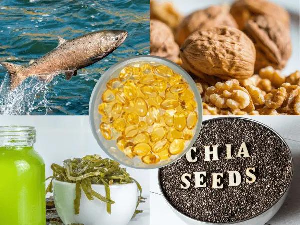 A photo showing the different sources of omega 3 for dogs, including fish, walnut, algae, and chia seeds