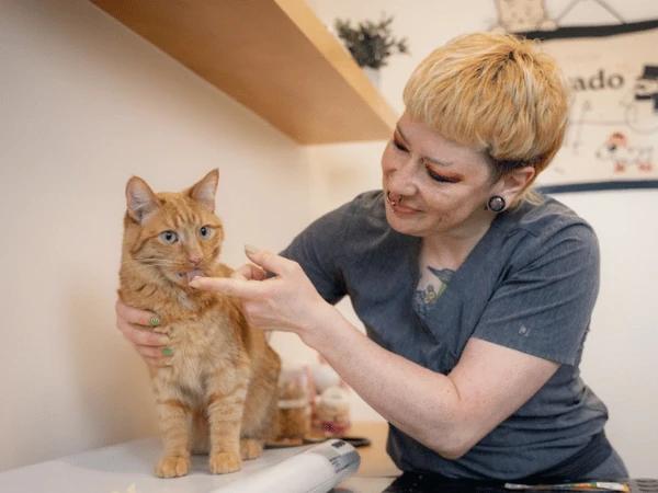 A cat getting examined at Sploot Veterinary Care, a vet clinic that offers emergency vet care services, including diagnosing why a cat is limping
