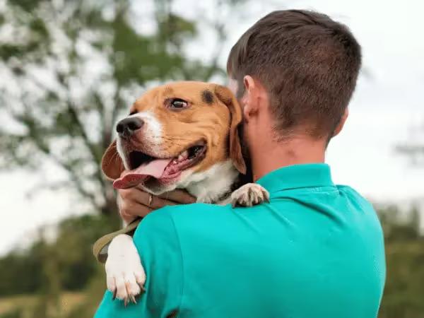 A man hugging a dog, representing the experience of dog adoption from dog shelters or dog rescues in Colorado Springs