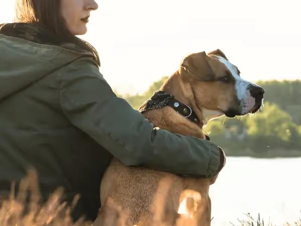 A person hugging a dog serving as an emotional support animal; the dog has secured an emotional support animal letter in Colorado