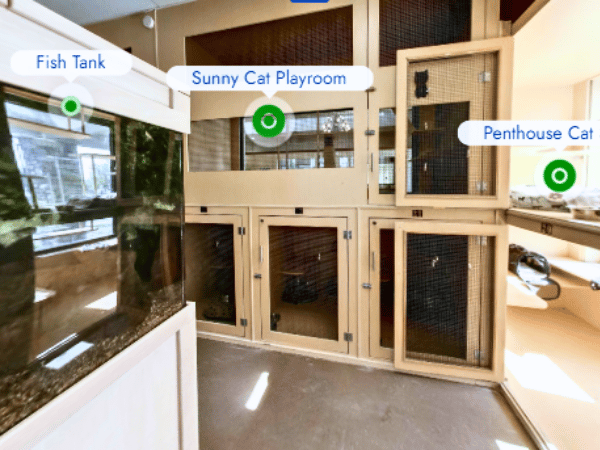The cat suites in Club Pet Resorts, a cat boarding facility near Denver Colorado
