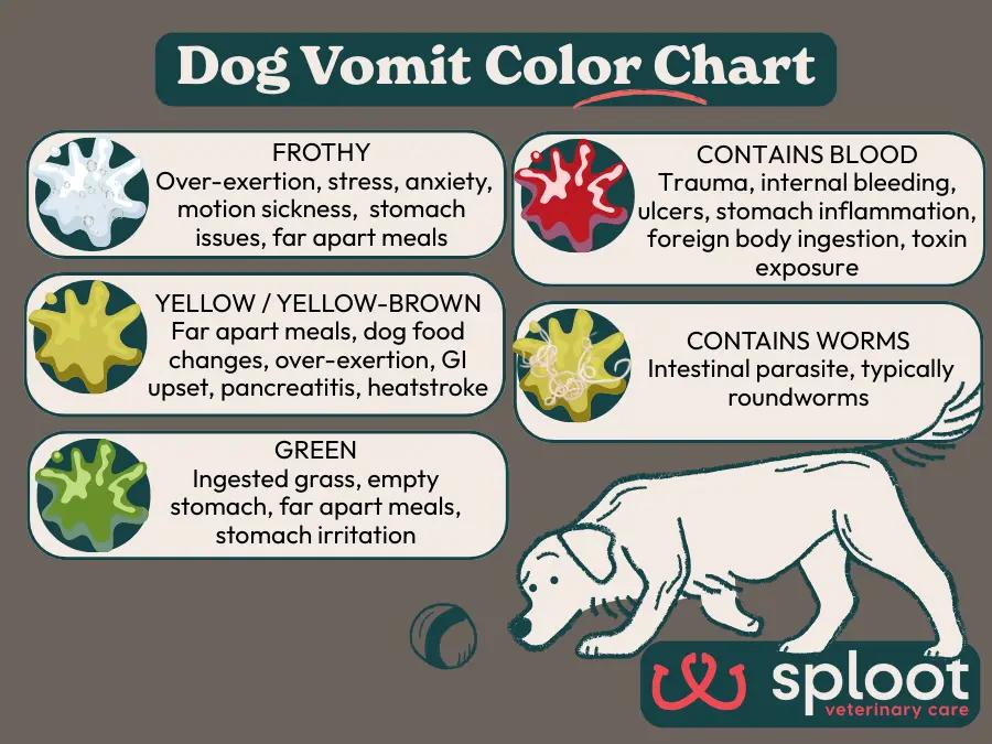 A simple dog vomit color chart, with the common causes associated with each color of dog vomit