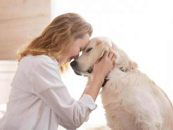 A pet parent hugging a senior dog, representing senior dog care and properly caring for senior dogs