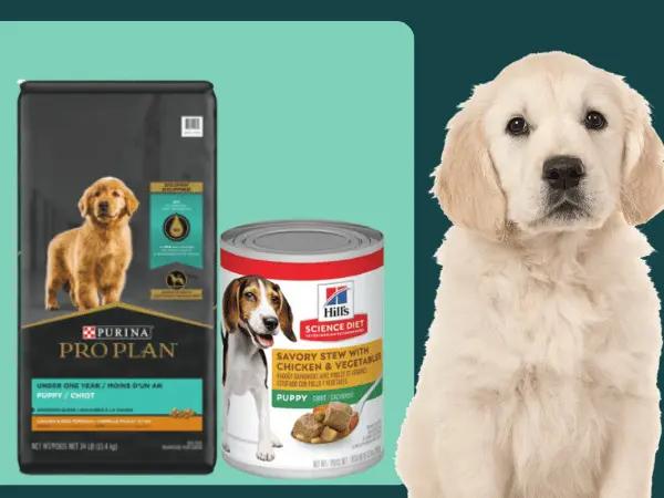Examples of the best dog food for puppies small breed and best large breed puppy food by Hills Science Diet and Purina
