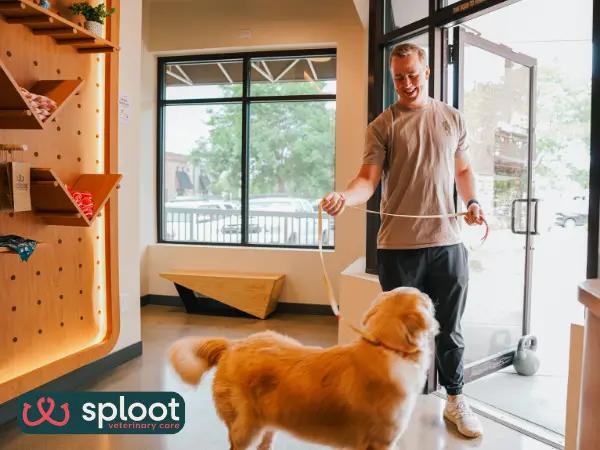 A photo of a dog not wanting to leave Sploot Veterinary Care, one of the best Fear Free dog vet clinics in Denver, Colorado