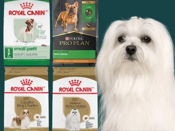 Examples of the best dry dog foods for small dogs from trusted brands Royal Canin and Purina