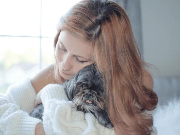 An emotional support animal dog in Illinois comforting their owner