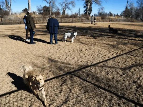 Photo of Barnum Dog Park, one of the smaller-sized Denver dog parks