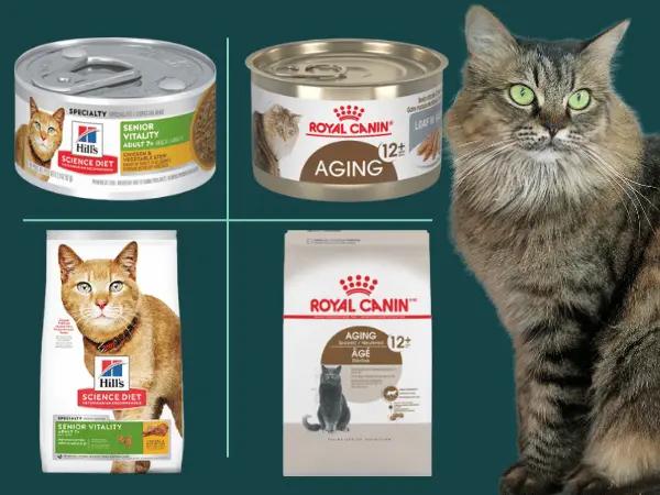 A senior cat surrounded by some examples of the best senior cat food for cats that don’t need prescription food