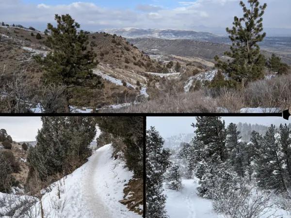 A collage of one of the best dog friendly trails in Denver during winter, Turkey Trot Trail