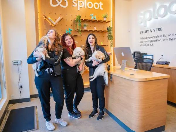 First puppy vet visits at Sploot Vets, a Fear Free, full-service vet clinic in Denver, Colorado Springs, and Chicago