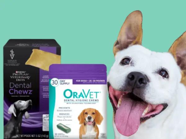 A dog beside the packaging of some of the best dental chews for dogs from Purina and Oravet