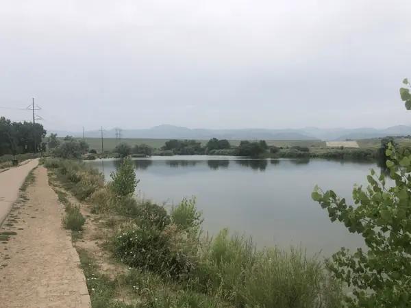 Photo of Chatfield Dog Park, one of the off leash dog parks