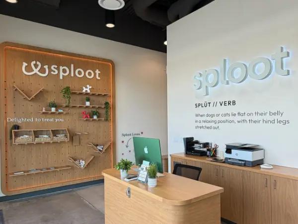 The beautiful reception area of Sploot Veterinary Care - Holladay, one of the best cat veterinarians in Salt Lake City, Utah