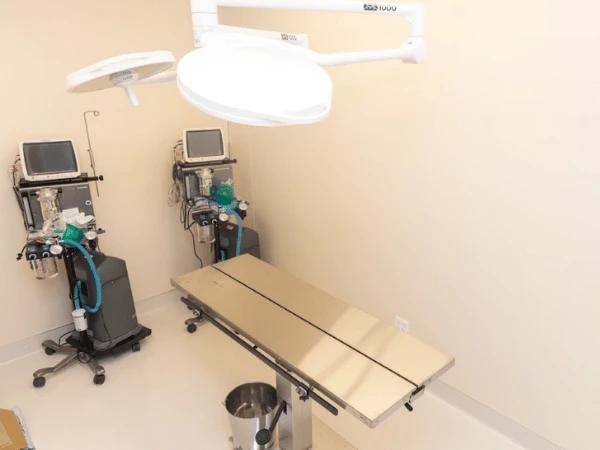 One of the treatment rooms in Sploot Veterinary Care, vet clinics in Chicago and Denver that accept pet emergencies and pet urgent cases‍