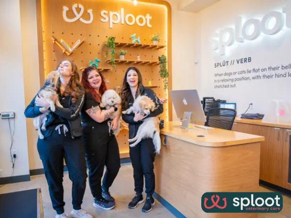A photo of a pet parent getting a same-day veterinary appointment at Sploot Veterinary Care, one of the best dog veterinarians or vet clinics in Denver, Colorado