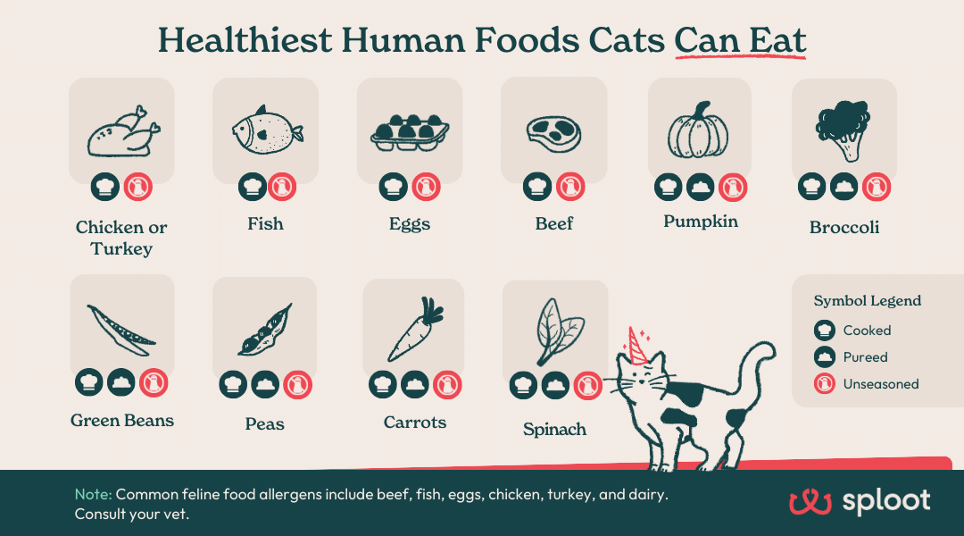 An infographic showing the healthiest people food that cats can eat or healthy food for cats