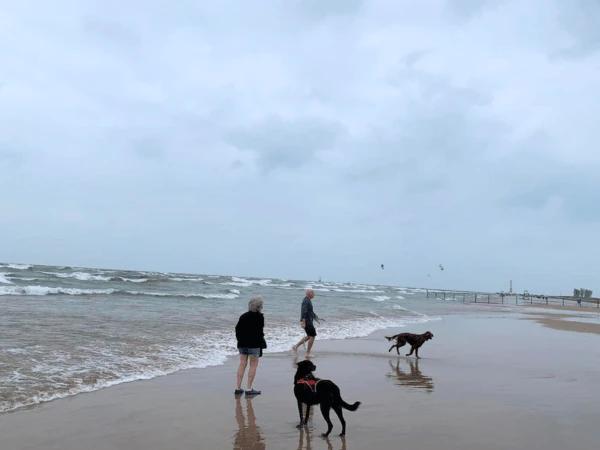 Pet parents enjoying the Montrose Dog Beach, one of the best dog beaches Chicago