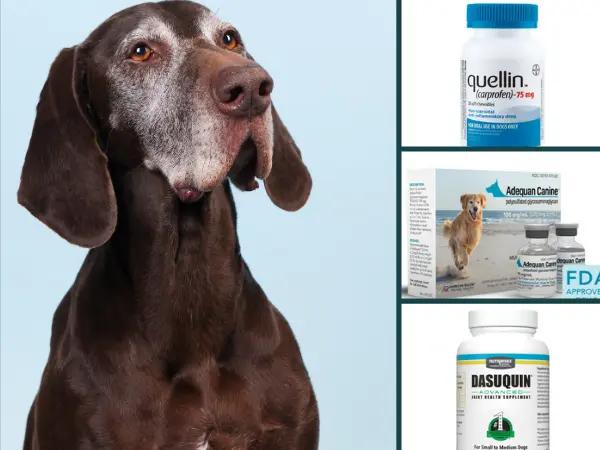 A collage showing examples of supplements and medications for arthritis in dogs, including a pain reliever (carprofen), a disease-modifying osteoarthritis drug (Adequan Canine), and a joint supplement (Dasuquin) to help treat canine arthritis