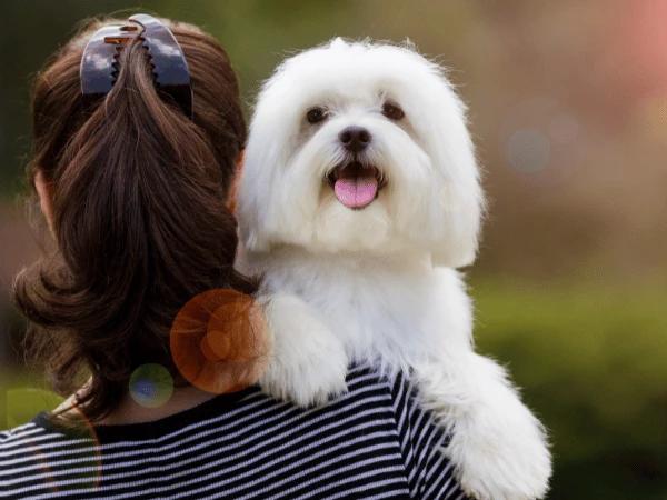A woman carrying her dog, representing ways to bong with your dog