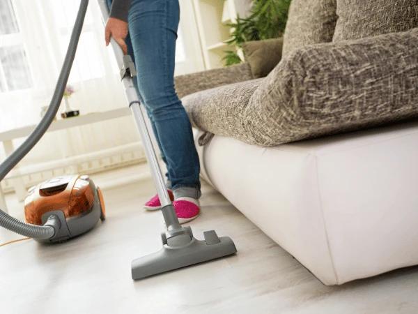 Close up of pet parents vacuuming to get rid of spring allergens that trigger spring allergies in pet dogs and cats