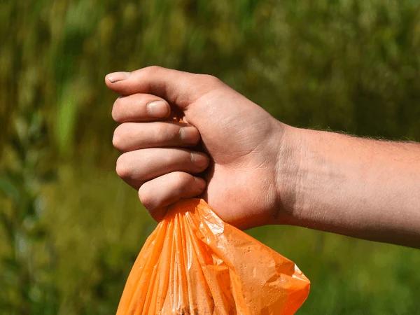 Closeup of a dog poop bag held by a dog parent in Denver
