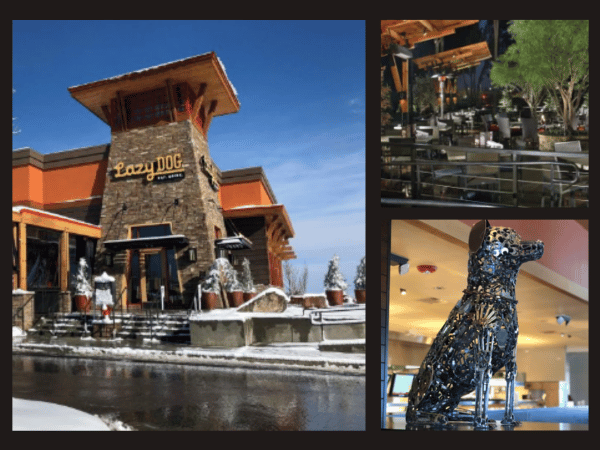 A collage of pictures of one of the dog friendly bars or dog friendly breweries in Denver Colorado, The Lazy Dog
