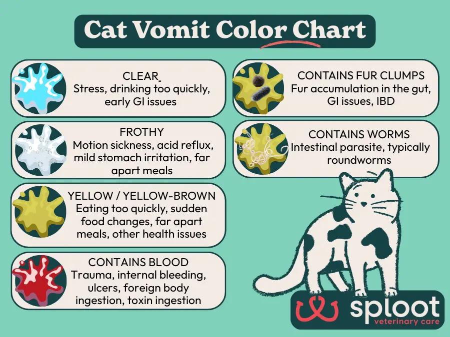A simple cat vomit color chart infographic, showing what each of the colors and inclusions means when a cat is vomiting.
